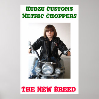 Kudzu Customs Poster