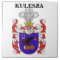 KULESZA FAMILY CREST