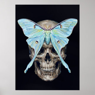 kull and Luna Moth — Memento Mori Impasto Poster