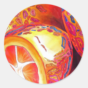 Kumquats orange citrus watercolour fruit art classic round sticker