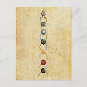 Kundalini Chakras Postcard