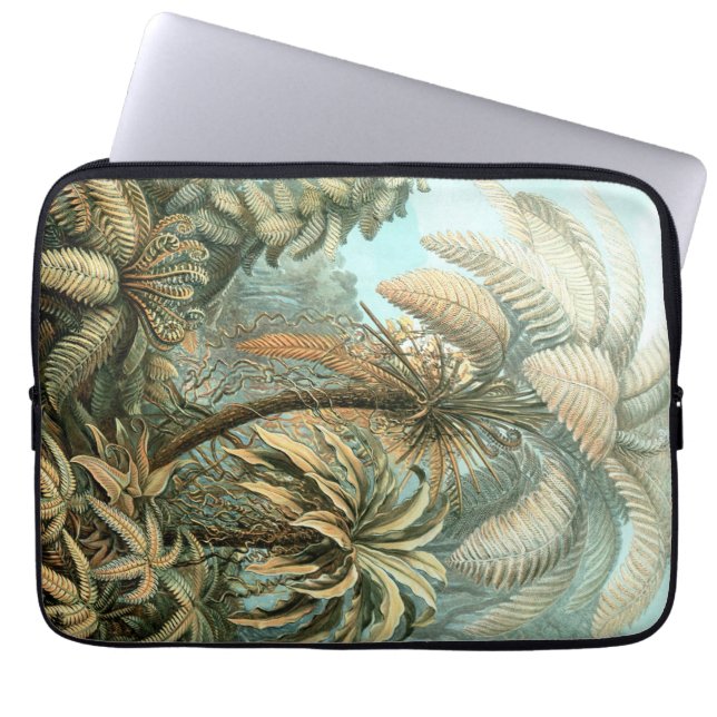 Kunstformen der Natur, Filicinae - Ernst Haeckel Laptop Sleeve (Front)