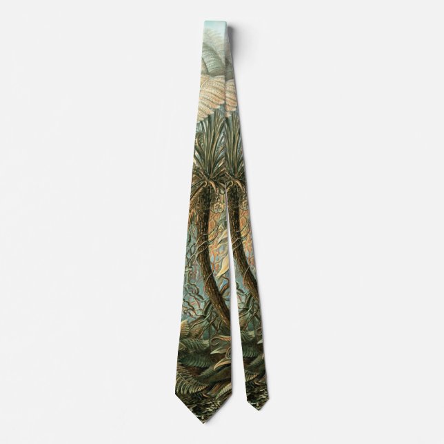 Kunstformen der Natur, Filicinae - Ernst Haeckel Tie (Front)