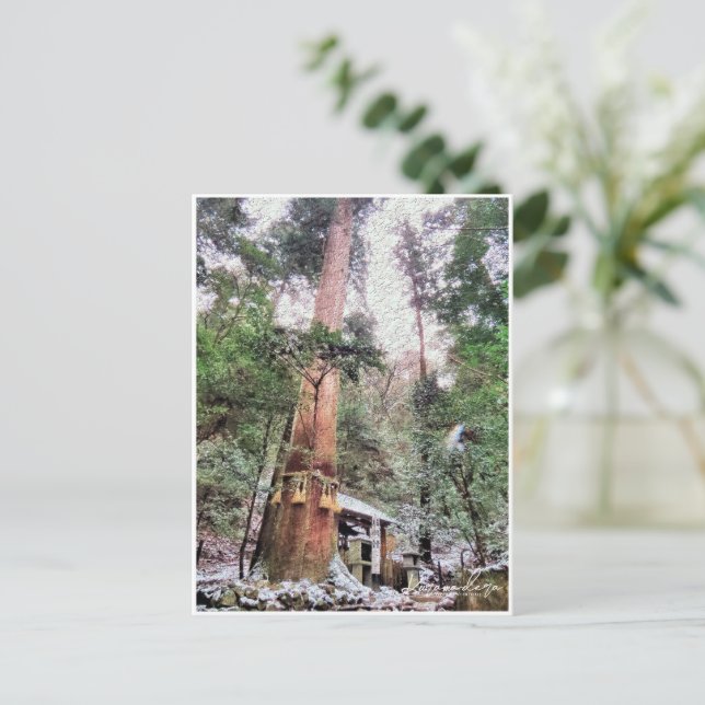 Kurama-dera (Yoshitsune-do hall) Postcard (Standing Front)