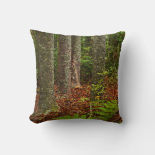 Kuri trees New Zealand Cushion