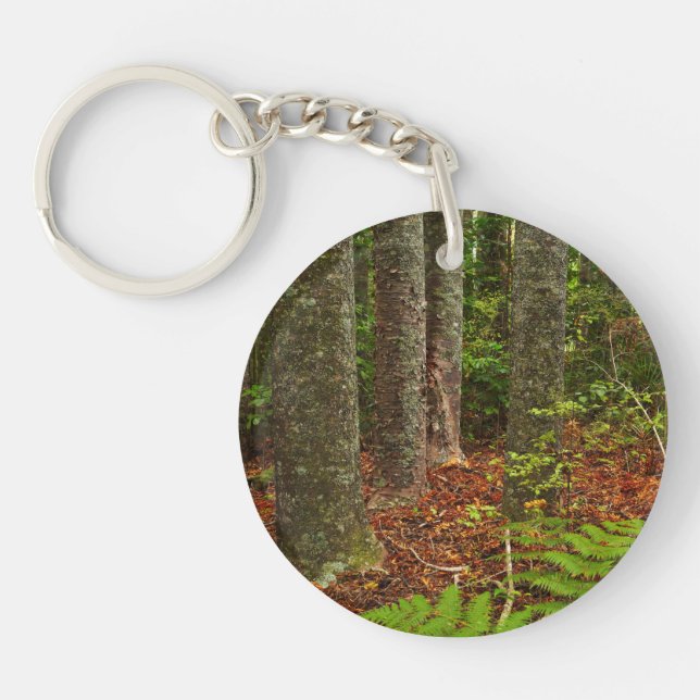 Kuri trees | New Zealand Key Ring (Front)