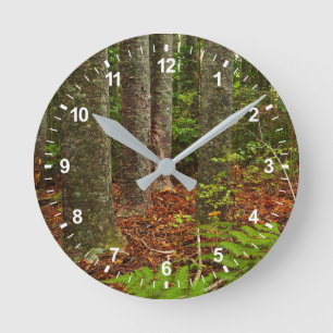 Kuri trees New Zealand Round Clock
