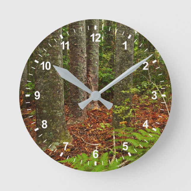 Kuri trees | New Zealand Round Clock (Front)