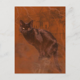 Kuroneko Kami Postcard