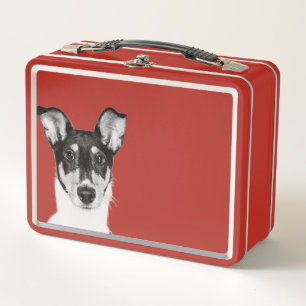 Kurzhaar Collie Metal Lunch Box