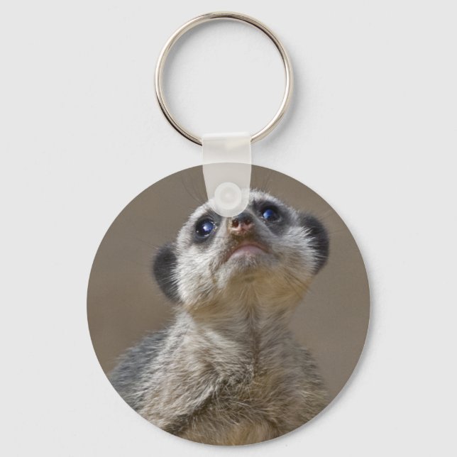 Kute Kat Keyring (Front)