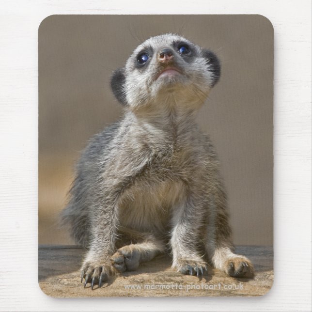 Kute Kat Mousemat (Front)