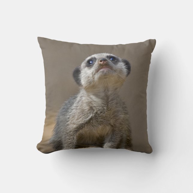 Kute Kat Pillow (Front)