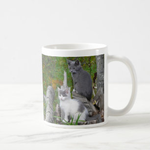 Kute Kittens Coffee Mug