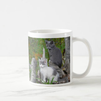 Kute Kittens Coffee Mug