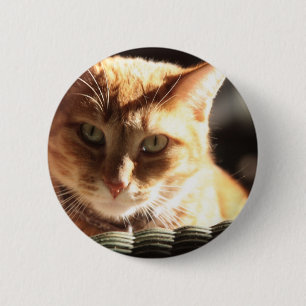 Kute Kitty! 6 Cm Round Badge