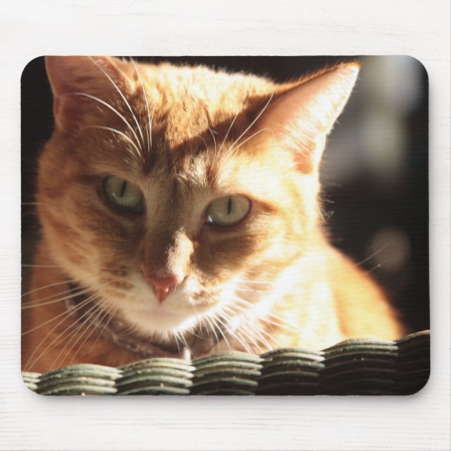 Kute Kitty! Mouse Pad (Front)