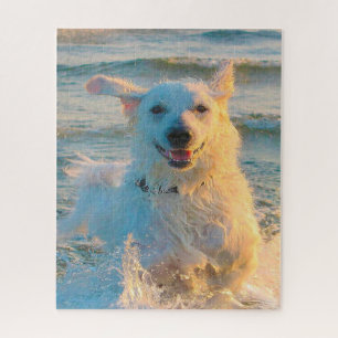 Kuvasz Dog. Jigsaw Puzzle