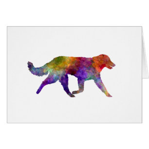 Kuvasz in watercolor 2