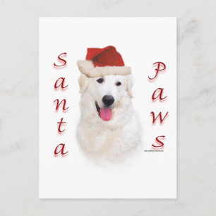 Kuvasz Santa Paws Holiday Postcard