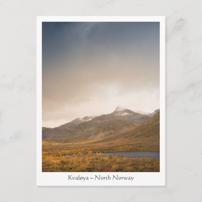 Kvaløya North Norway Postcard (Front)