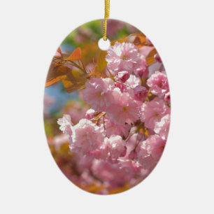 Kwanzan cherry in sunny day ceramic tree decoration