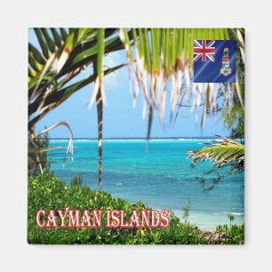 KY - Cayman Islands - Inside the Reef Magnet