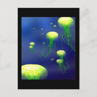 KY Jellies Post Card