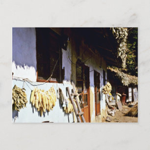 Kyongsangnam-Do - Chonghak-dong Traditional Villag Postcard