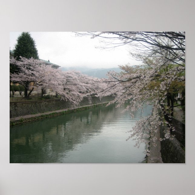 Kyoto cherry blossoms poster (Front)