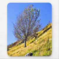 L0NE TREE
