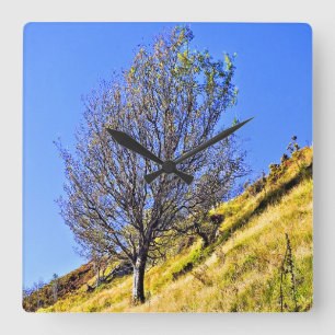L0NE TREE SQUARE WALL CLOCK