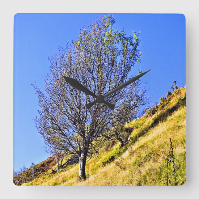 L0NE TREE SQUARE WALL CLOCK (Front)