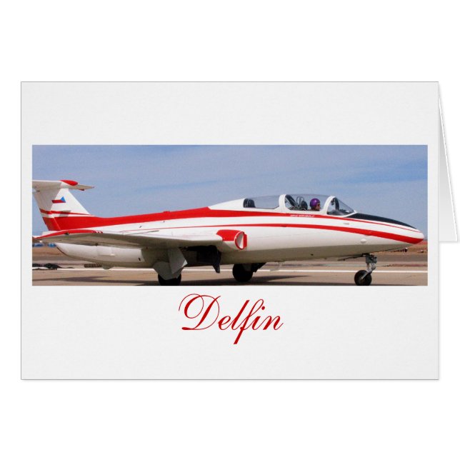 L29 Delfin2, Delfin (Front Horizontal)