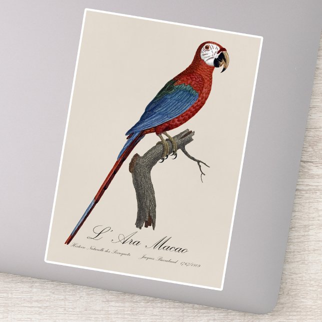 L' Ara Macao / Red and green Macaw  (Red-and-green Macaw, Ara chloropterus. Sticker)