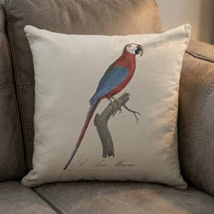 L' Ara Macao / Red and green Macaw  Cushion