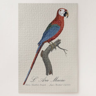 L' Ara Macao / Red and green Macaw  Jigsaw Puzzle