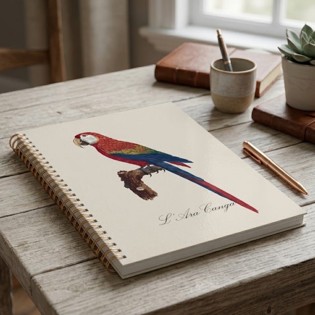 L' Ara Macao / Scarlet Macaw  Planner (Scarlet Macaw or Red-Breasted Macaw, Ara macao. Planner)