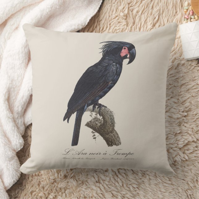 L' Ara Noir a Trompe / Palm Cockatoo  Cushion (Blanket)