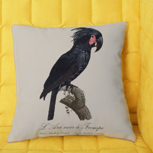 L' Ara Noir a Trompe / Palm Cockatoo  Cushion
