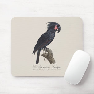 L' Ara Noir a Trompe / Palm Cockatoo Mouse Pad