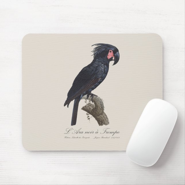L' Ara Noir a Trompe / Palm Cockatoo  Mouse Pad (With Mouse)