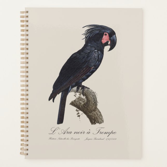 L' Ara Noir a Trompe / Palm Cockatoo  Planner (Front)