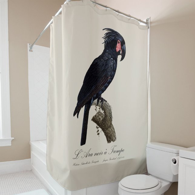 L' Ara Noir a Trompe / Palm Cockatoo  Shower Curtain (L' Ara Noir a Trompe / Palm Cockatoo. Shower Curtain)