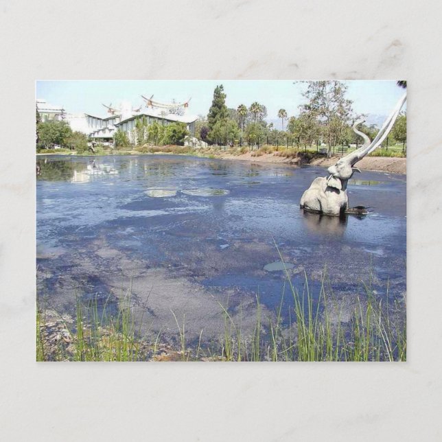 La Brea Tarpits Ponds Museums Postcard (Front)
