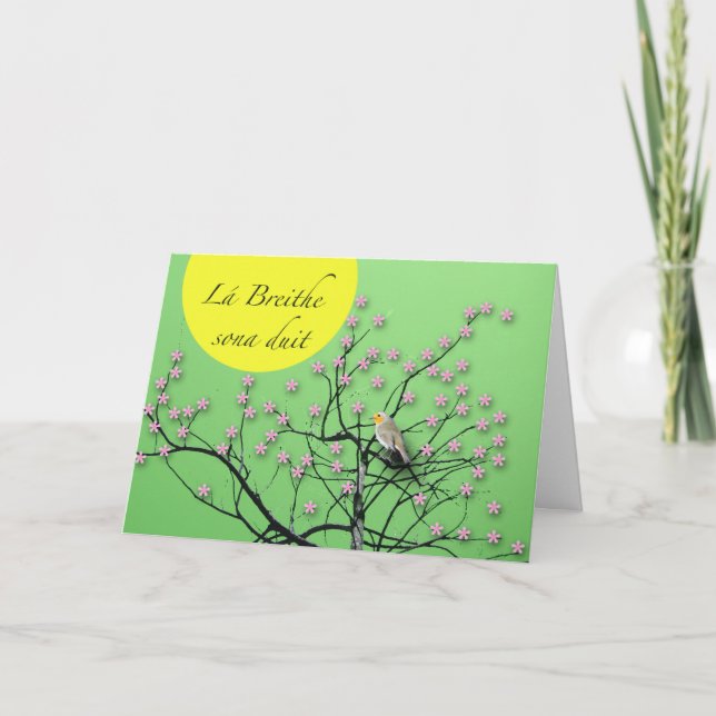 Lá Breithe sona duit Irish Birthday with Robin Card (Front)
