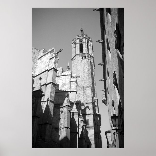 La Catedral Gargoyles Photo Poster Art Print (Front)