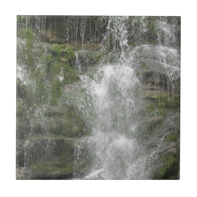 La Chute Waterfall in Forillon National Park      Ceramic Tile (Front)