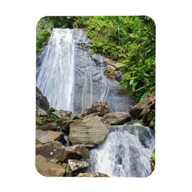 La coca falls of el yunque national forest magnet (Vertical)