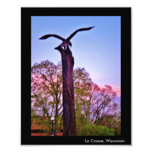 La Crosse Eagle Photo Print